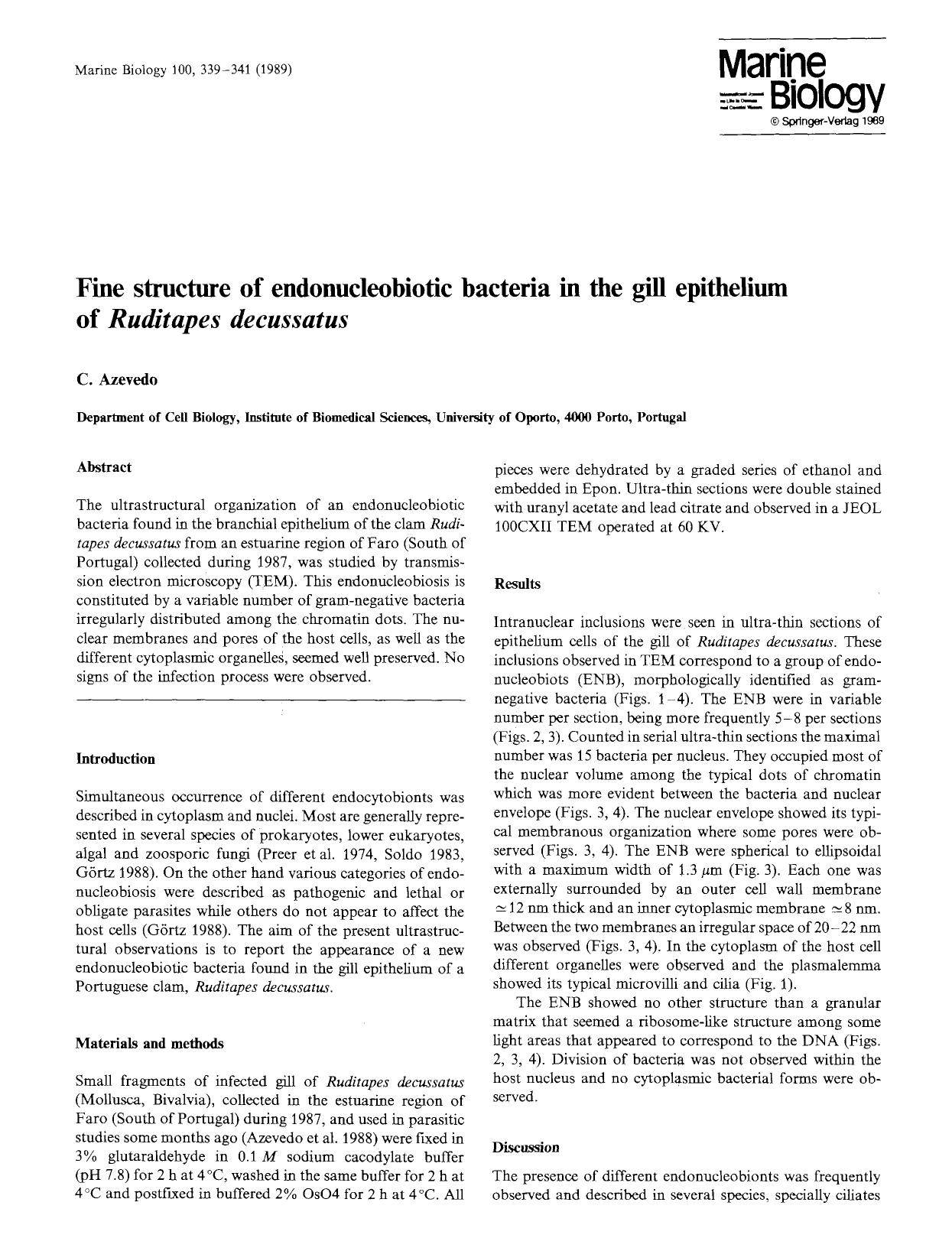 Fine structure of endonucleobiotic bacteria in the gill epithelium of <Emphasis Type="Italic">Ruditapes decussatus<Emphasis> by Unknown