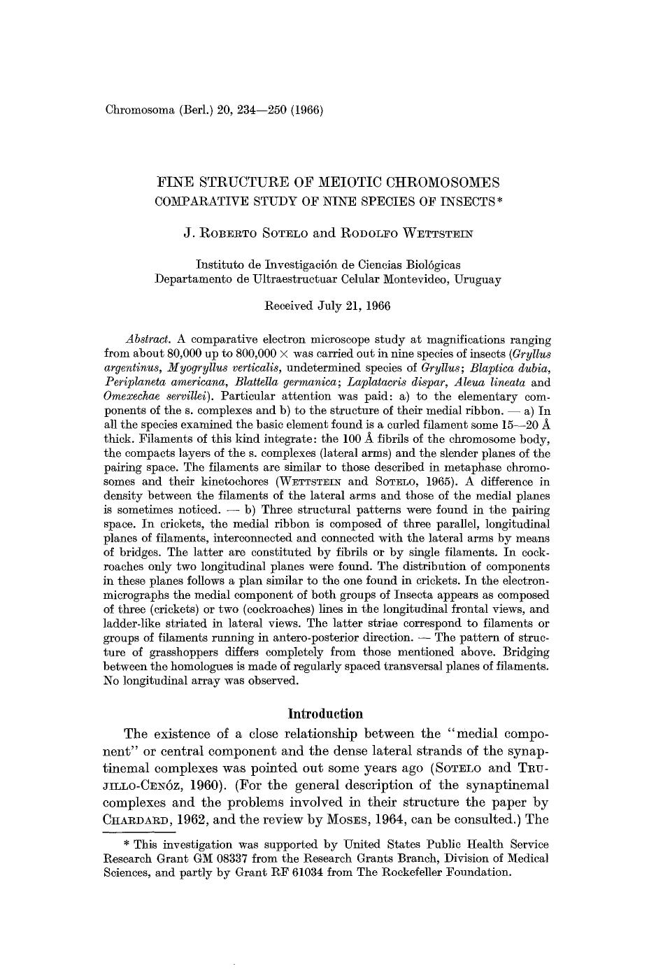 Fine structure of meiotic chromosomes comparative study of nine species of insects by Unknown
