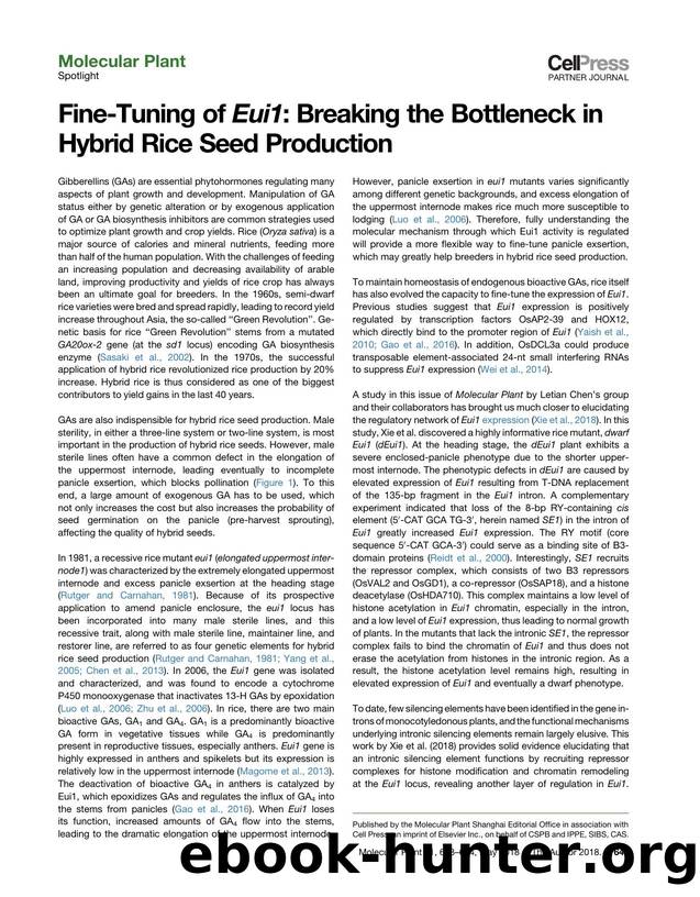 Fine-Tuning of Eui1: Breaking the Bottleneck in Hybrid Rice Seed Production by Shaopei Gao & Chengcai Chu