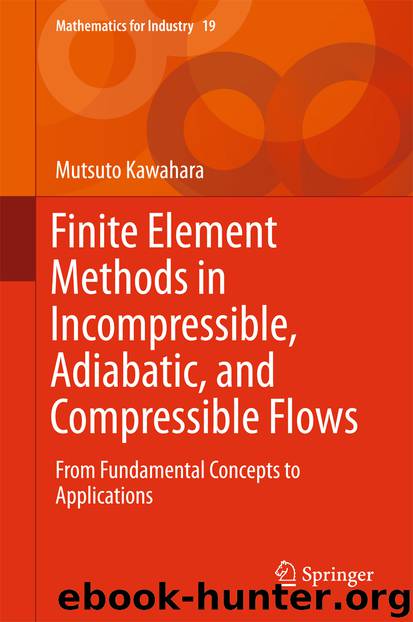 Finite Element Methods in Incompressible, Adiabatic, and Compressible Flows by Mutsuto Kawahara