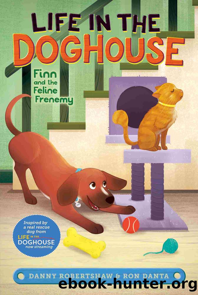 Finn and the Feline Frenemy by Danny Robertshaw & Ron Danta & Crystal Velasquez