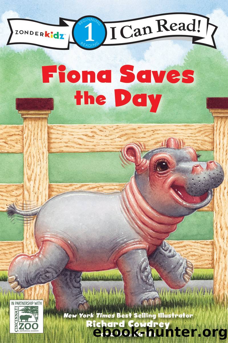 Fiona Saves the Day by Zondervan