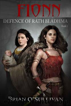 Fionn- Defence of Ráth Bládhma by Brian O'Sullivan