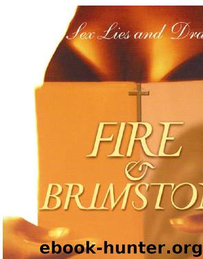Fire & Brimstone by Laurinda D. Brown