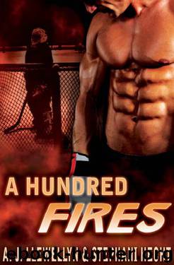 Fire & Ice 2 - A Hundred Fires by Stephani Hecht & AJ Llewellyn