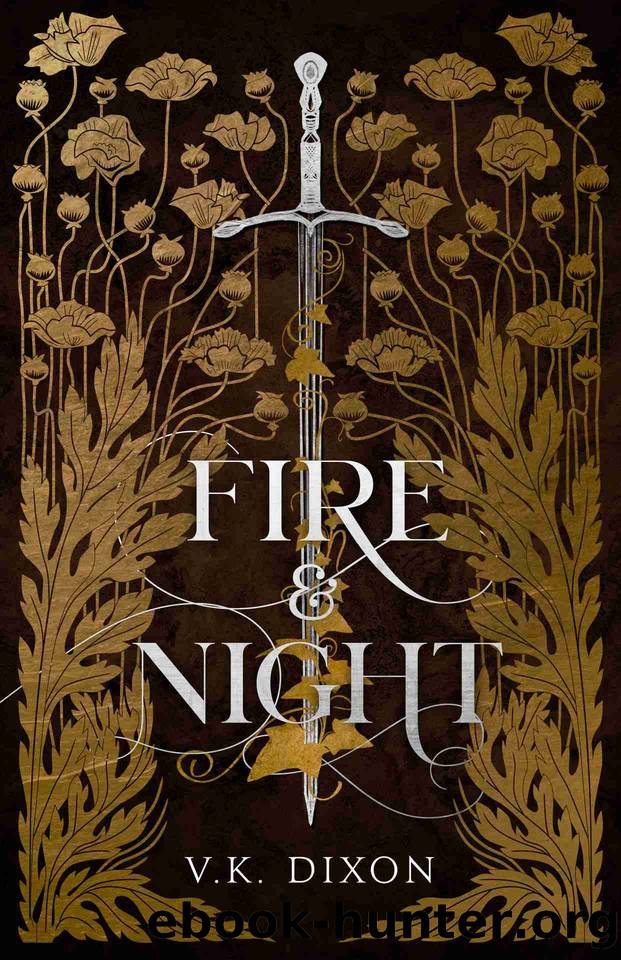 Fire & Night (Warriors & Mages Book 1) by V.K. Dixon