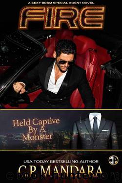 Fire (A Special Agent Novel Book 4) by C.P. Mandara