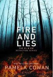 Fire And Lies by Pamela Cowan