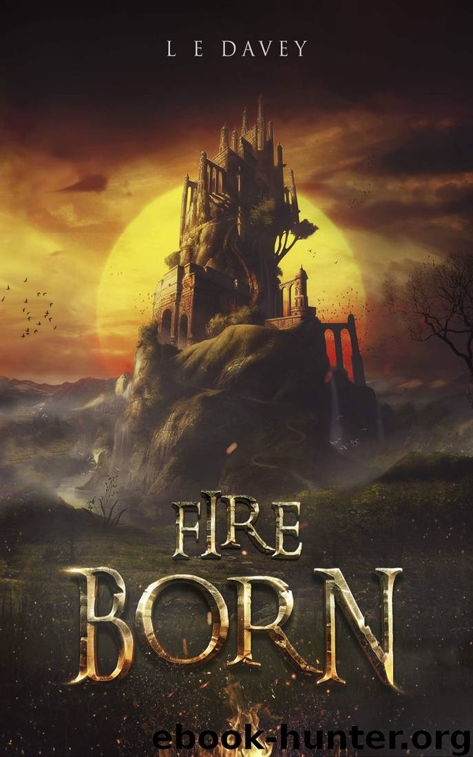 Fire Born by L E Davey