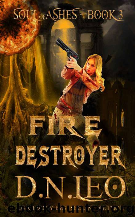 Fire Destroyer by D N Leo