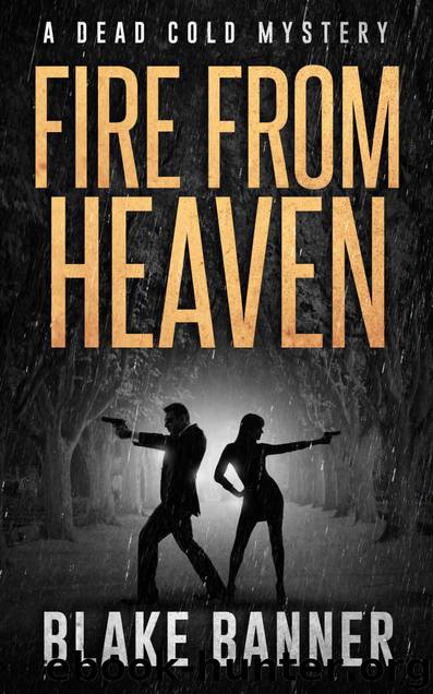 Fire From Heaven by Blake Banner