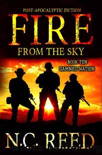 Fire From The Sky | Book 10 | Damned Nation by Reed N.C