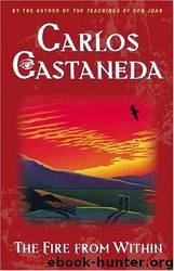 Fire From Within by Carlos Castaneda