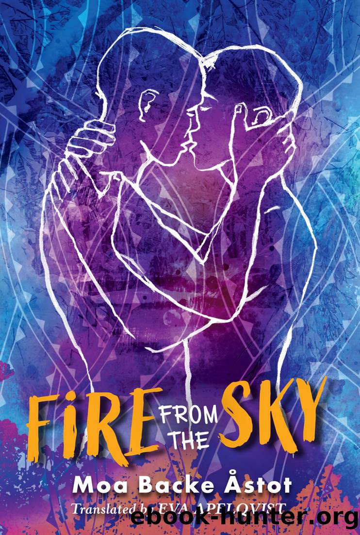 Fire From the Sky by Moa B. Åstot