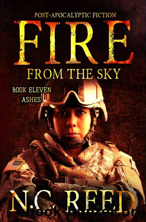 Fire From the Sky: Book 11: Ashes by N.C. Reed