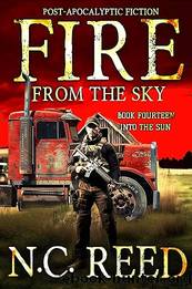 Fire From the Sky: Book 14: Into the Sun by N.C. Reed