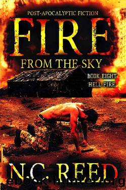 Fire From the Sky: Hell Fire by N.C. Reed