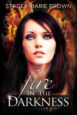 Fire In The Darkness by Stacey Marie Brown