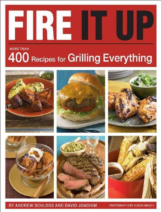 Fire It Up by Andrew Schloss & David Joachim