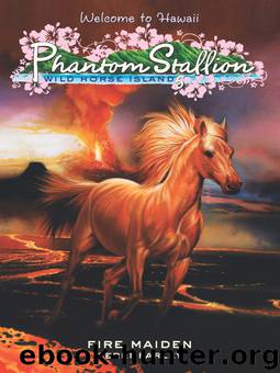 Fire Maiden by Terri Farley