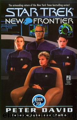 Fire On High (Star Trek: The Next Generation) by David Peter