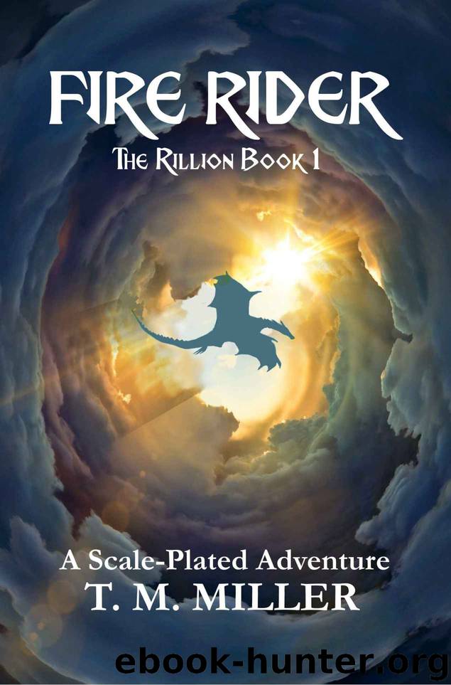 Fire Rider by T M Miller