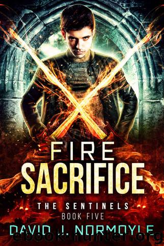 Fire Sacrifice by David J Normoyle
