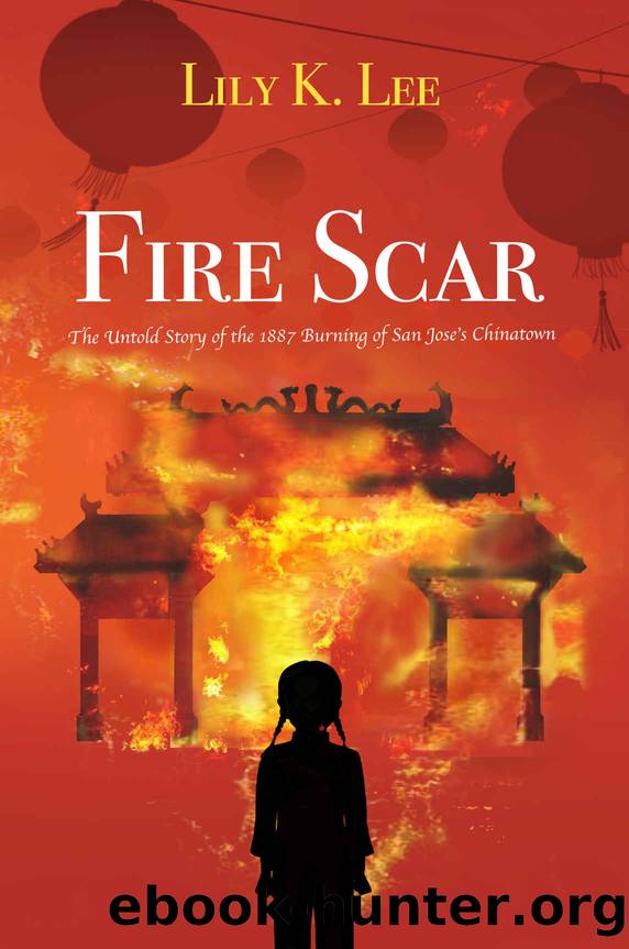 Fire Scar: The Untold Story of the 1887 Burning of San Joseâs Chinatown by Lily Lee & Lily Tan