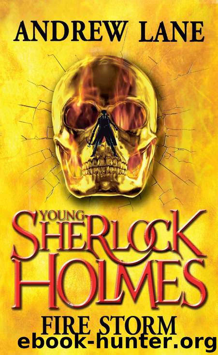 Fire Storm by Andrew Lane