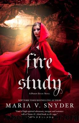 Fire Study (Soulfinders Book 3) by Maria V. Snyder