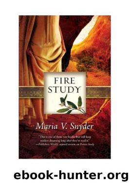 Fire Study [Study 3] by Maria Snyder