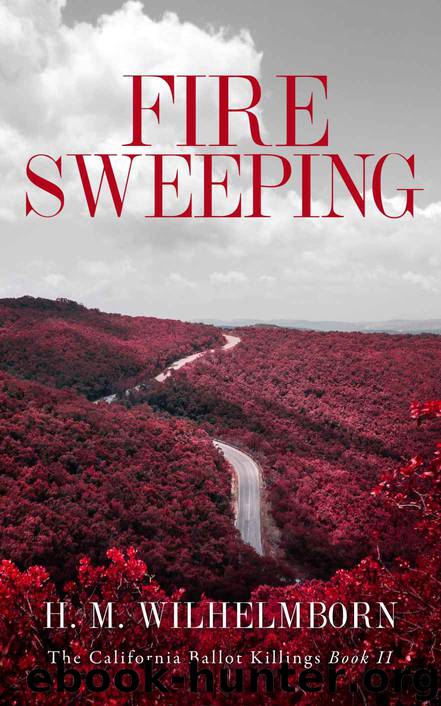Fire Sweeping: The California Ballot Killings Book II by H. M. Wilhelmborn