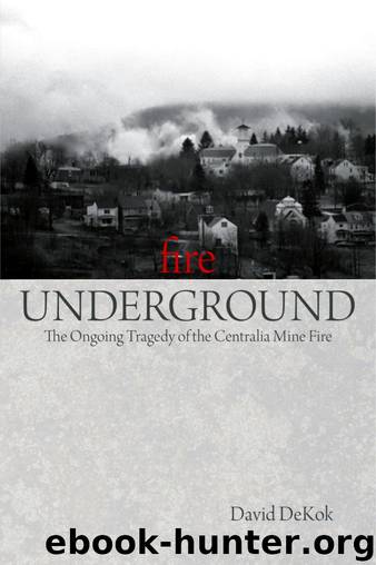 Fire Underground: The Ongoing Tragedy of the Centralia Mine Fire by David DeKok