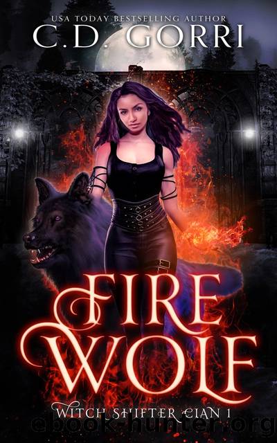 Fire Wolf by C.D. Gorri