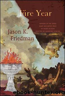 Fire Year by Jason K. Friedman