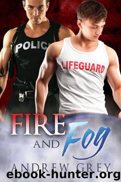 Fire and Fog (Carlisle Cops Book 6) by Andrew Grey