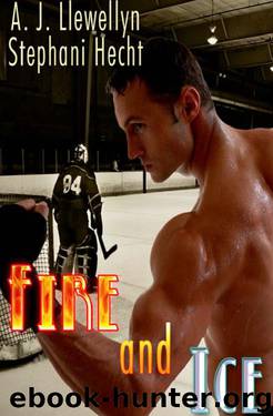 Fire and Ice by Stephani Hecht & AJ Llewellyn