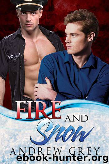 Fire and Snow by Andrew Grey