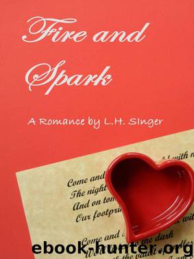 Fire and Spark by Laura Singer