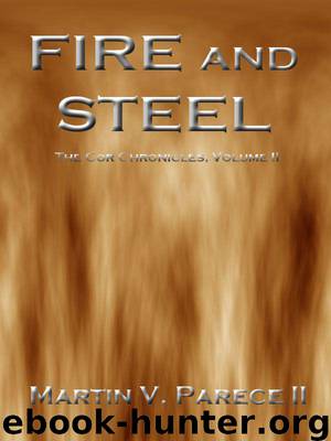 Fire and Steel by Martin Parece