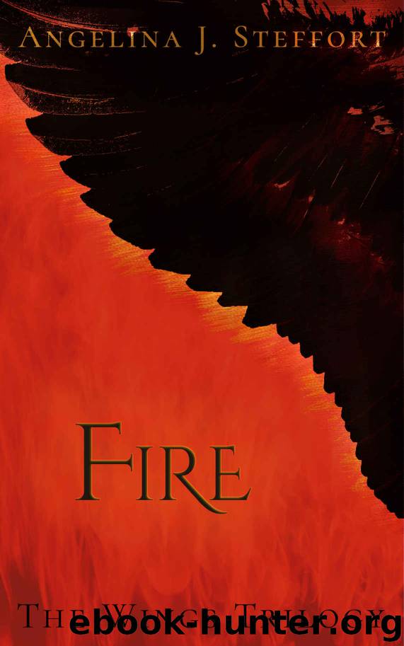 Fire by Angelina J Steffort
