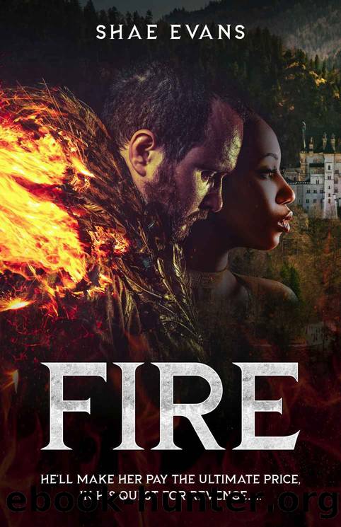 Fire by Evans Shae