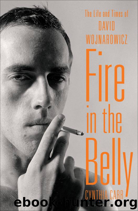 Fire in the Belly by Cynthia Carr