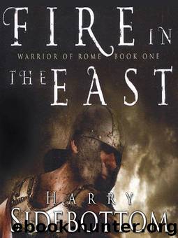 Fire in the East by Harry Sidebottom