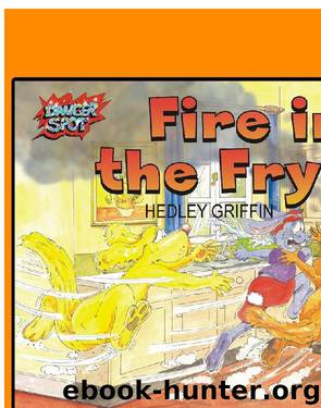 Fire in the Fryer by Hedley Griffin