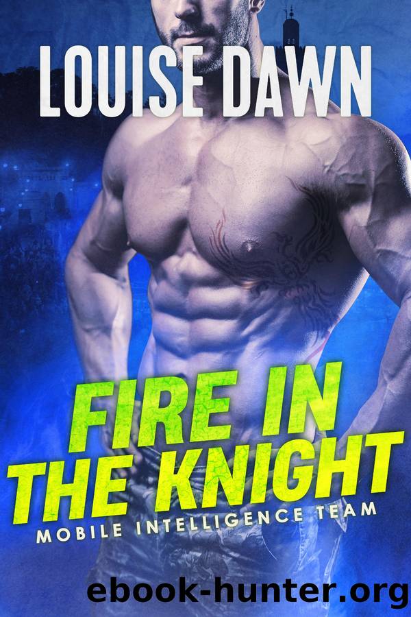Fire in the Knight by Louise Dawn