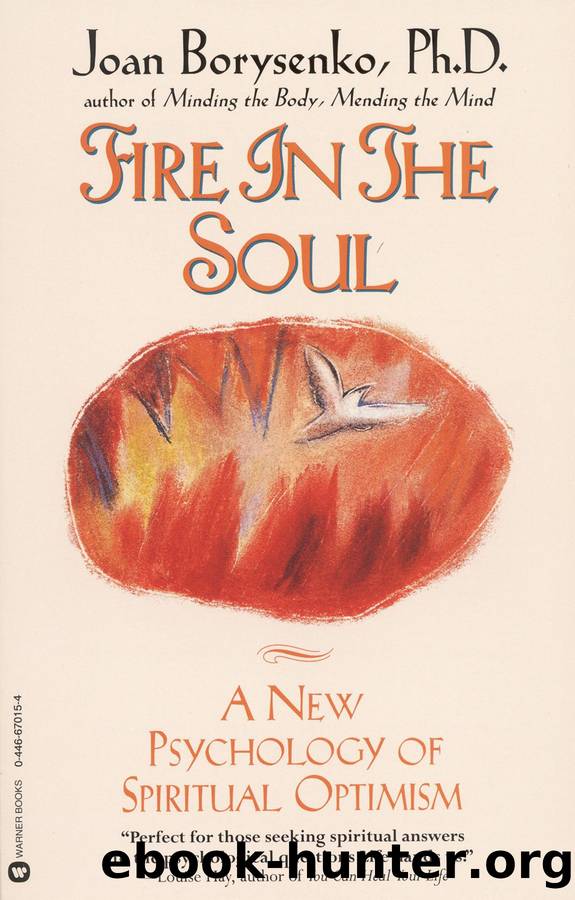 Fire in the Soul by Joan Borysenko