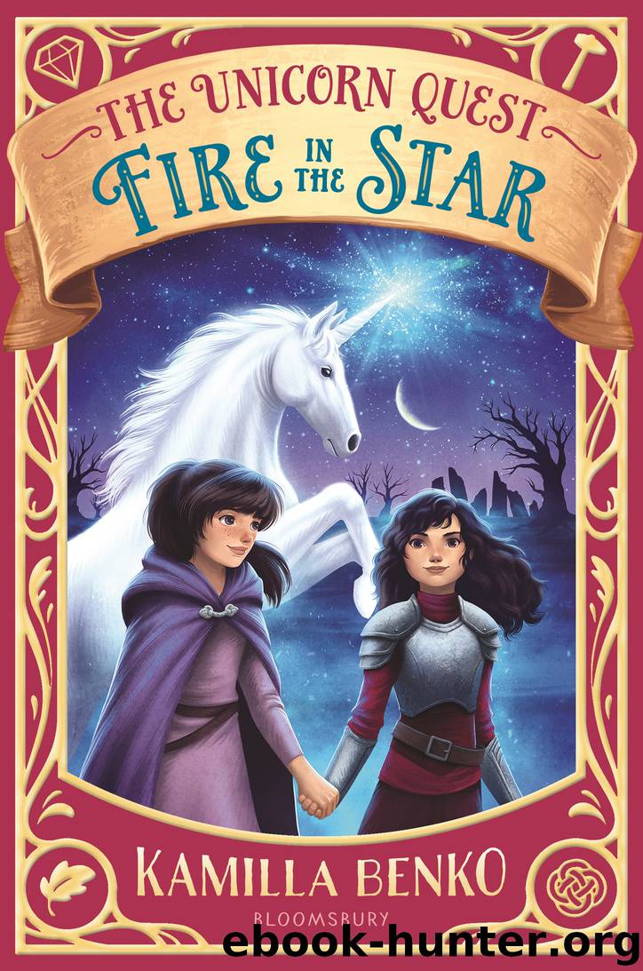 Fire in the Star by Kamilla Benko