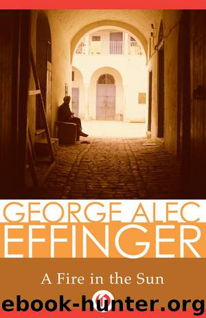 Fire in the Sun by Effinger George Alec