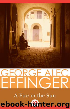 Fire in the Sun by George Alec Effinger